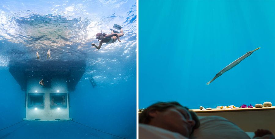 Из окон подводной части отеля можно круглосуточно любоваться многочисленными обитателями океана