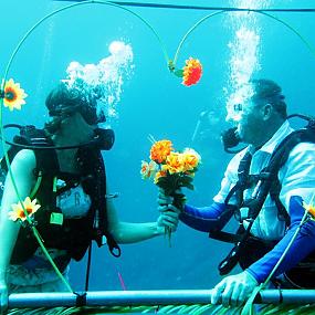 wedding-underwater-376