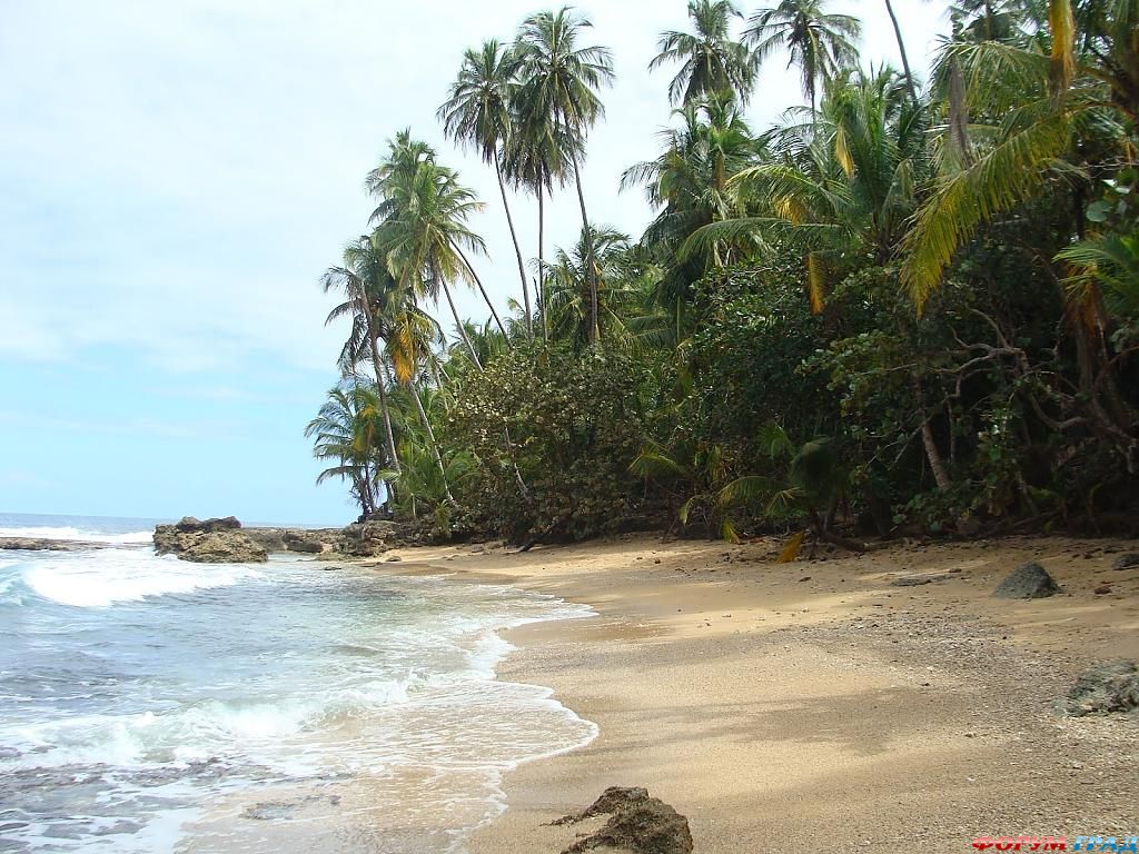 Пляж возле отеля Manzanillo
