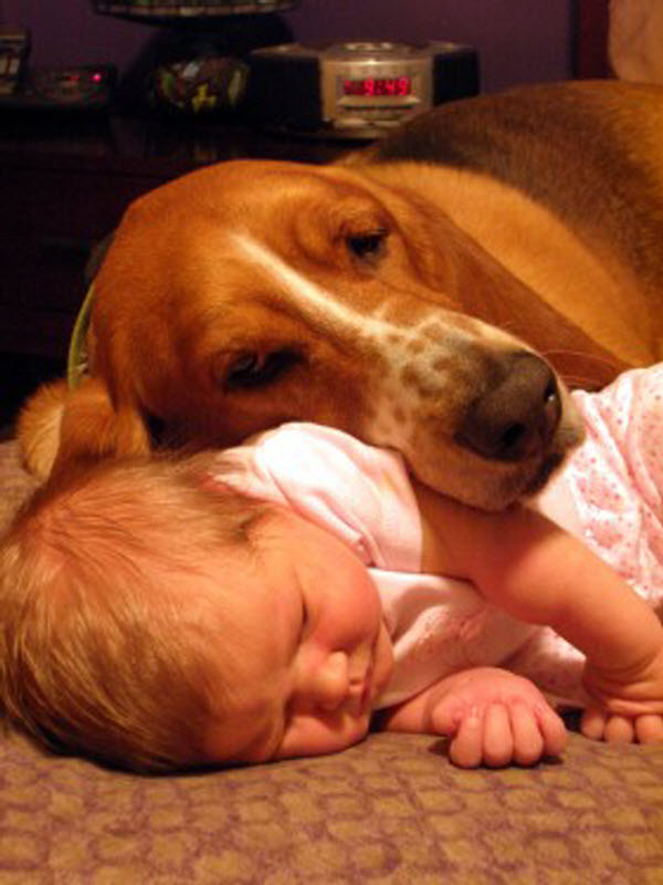 sleeping-babies-funny-pictures-04