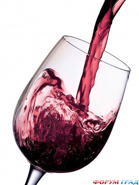 Как сделать правильный выбор вина