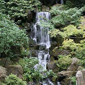 japanese-garden-10