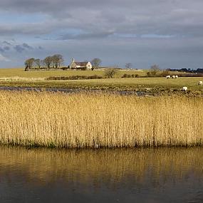 landscape-wales-03