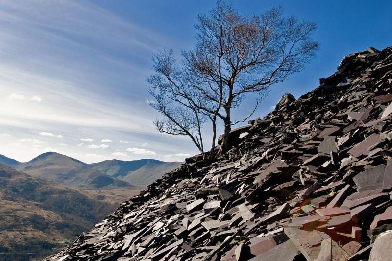 landscape-wales