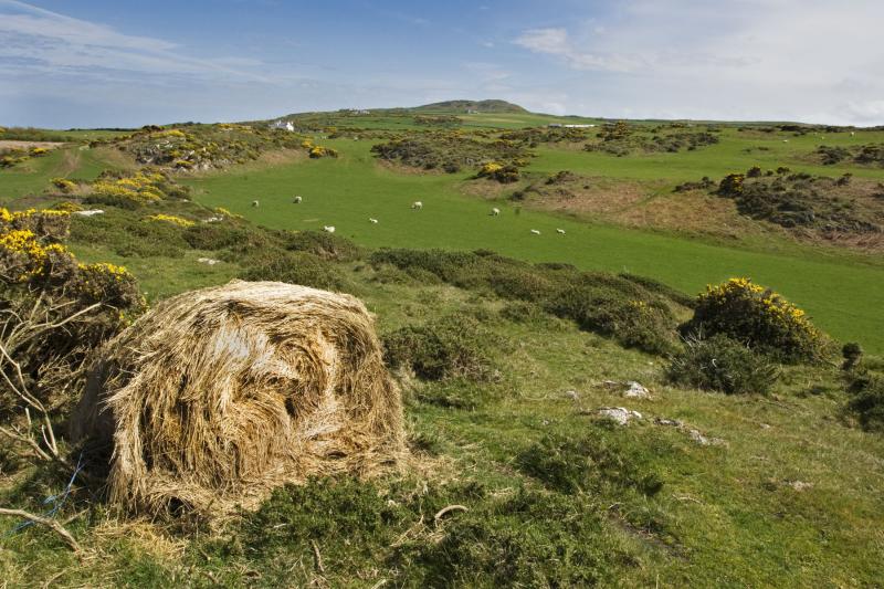 landscape-wales