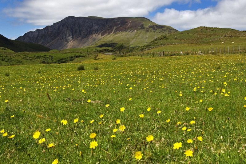 landscape-wales-11