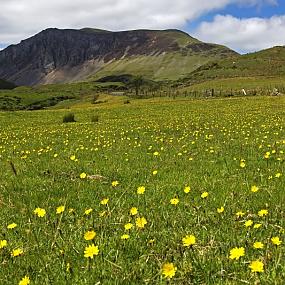 landscape-wales-11