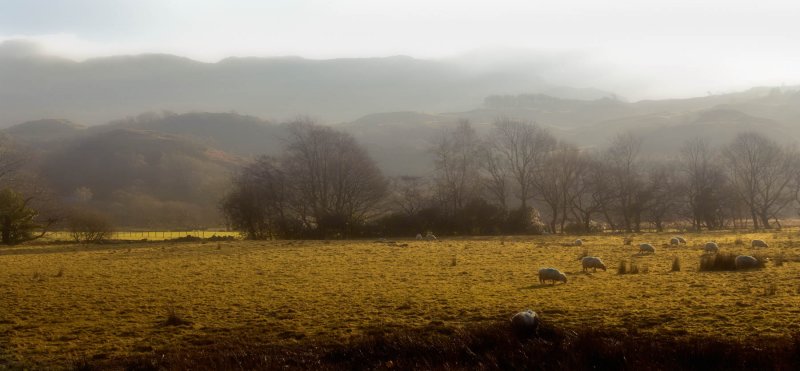 landscape-wales