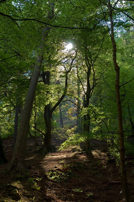 landscape-wales-21