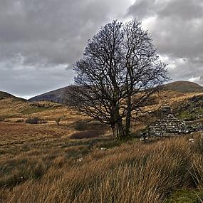 landscape-wales-29