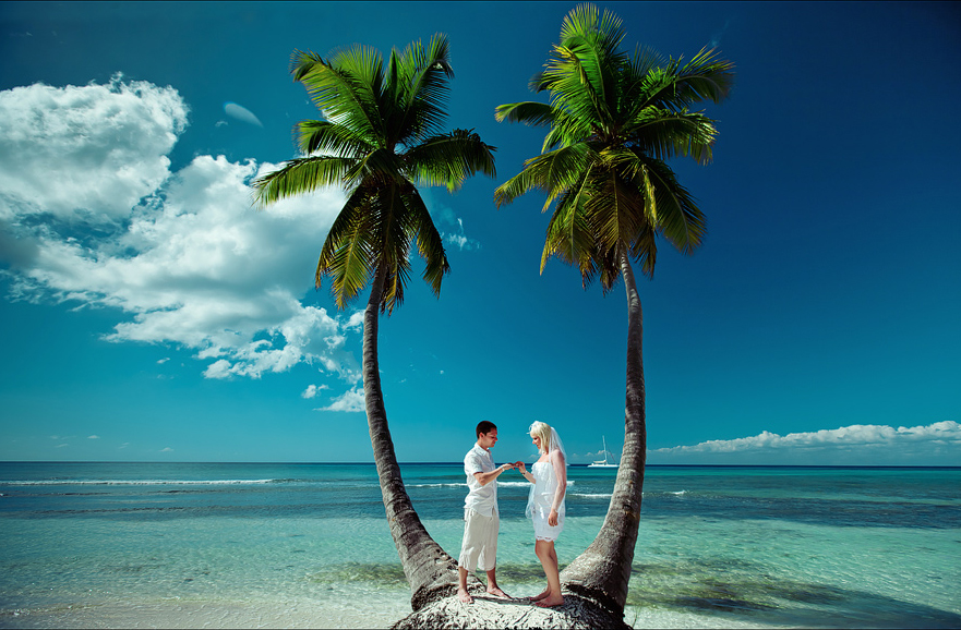 wedding-of-palm-01