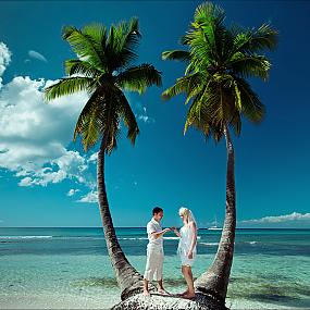 wedding-of-palm-01