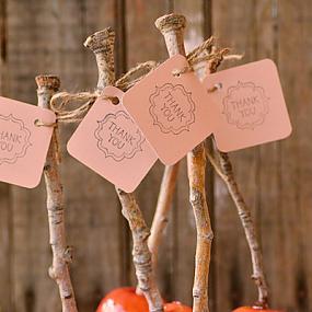 how-to-make-candy-apples-diy-favors-09