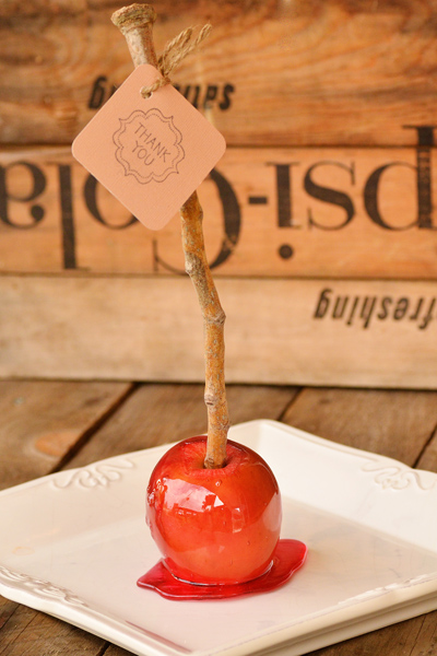 how-to-make-candy-apples-diy-favors-12