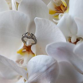 wedding-ring-233