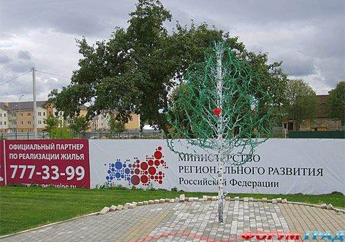 Дерево любви в Новом Ступино