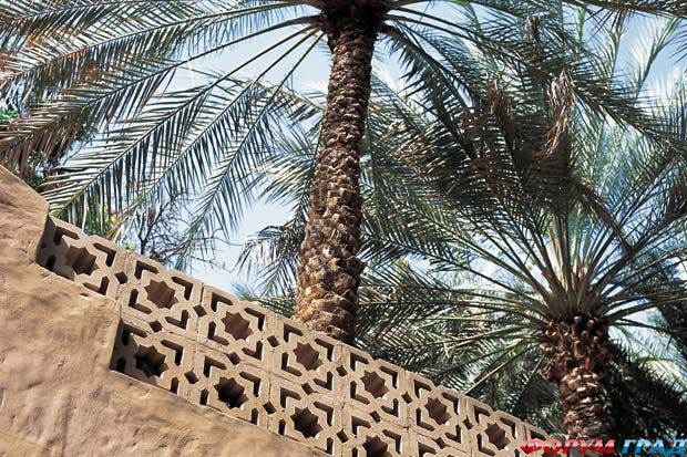 Пальмы Аль-Айна