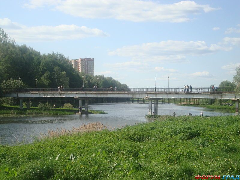 Мост в Балашихе