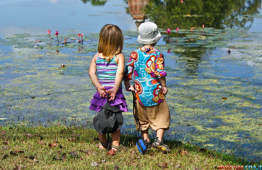 Детки на озере