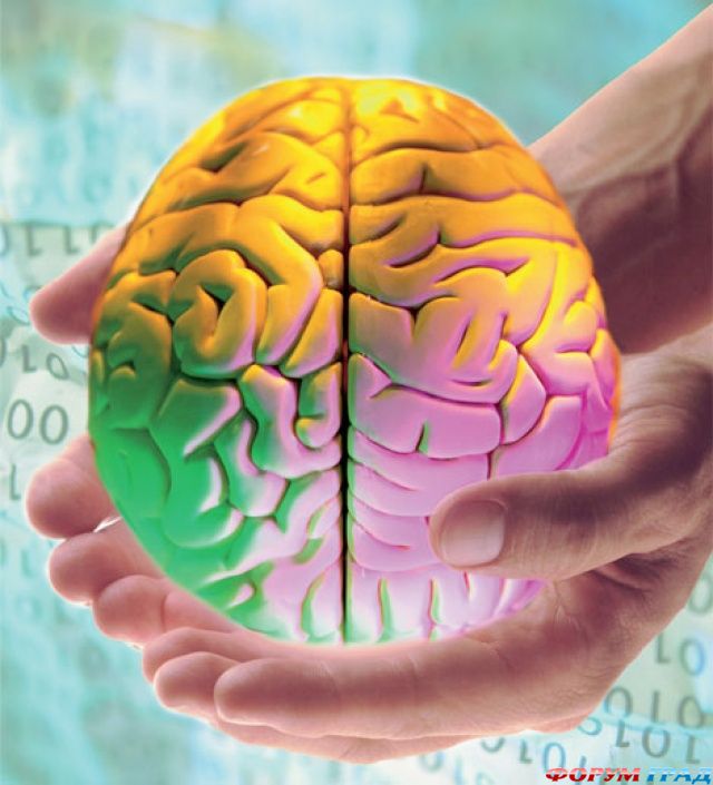 IQ