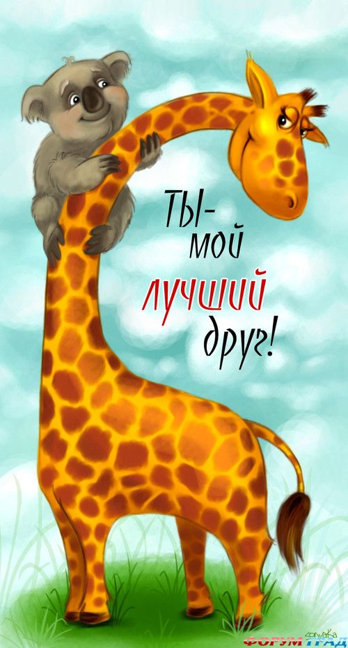 Из всех лучший друг открытка 453
