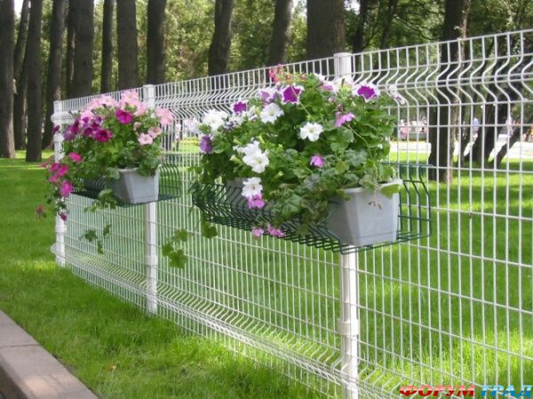 Заборы с цветами 3