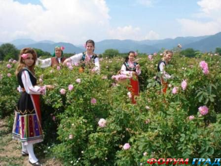 Dolina roz