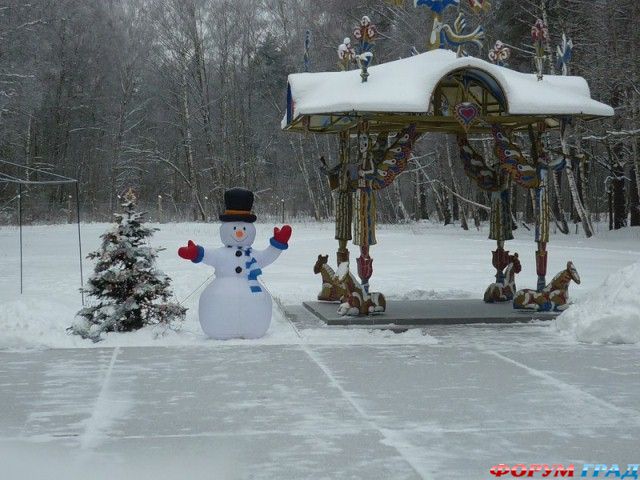 На поляне зимой