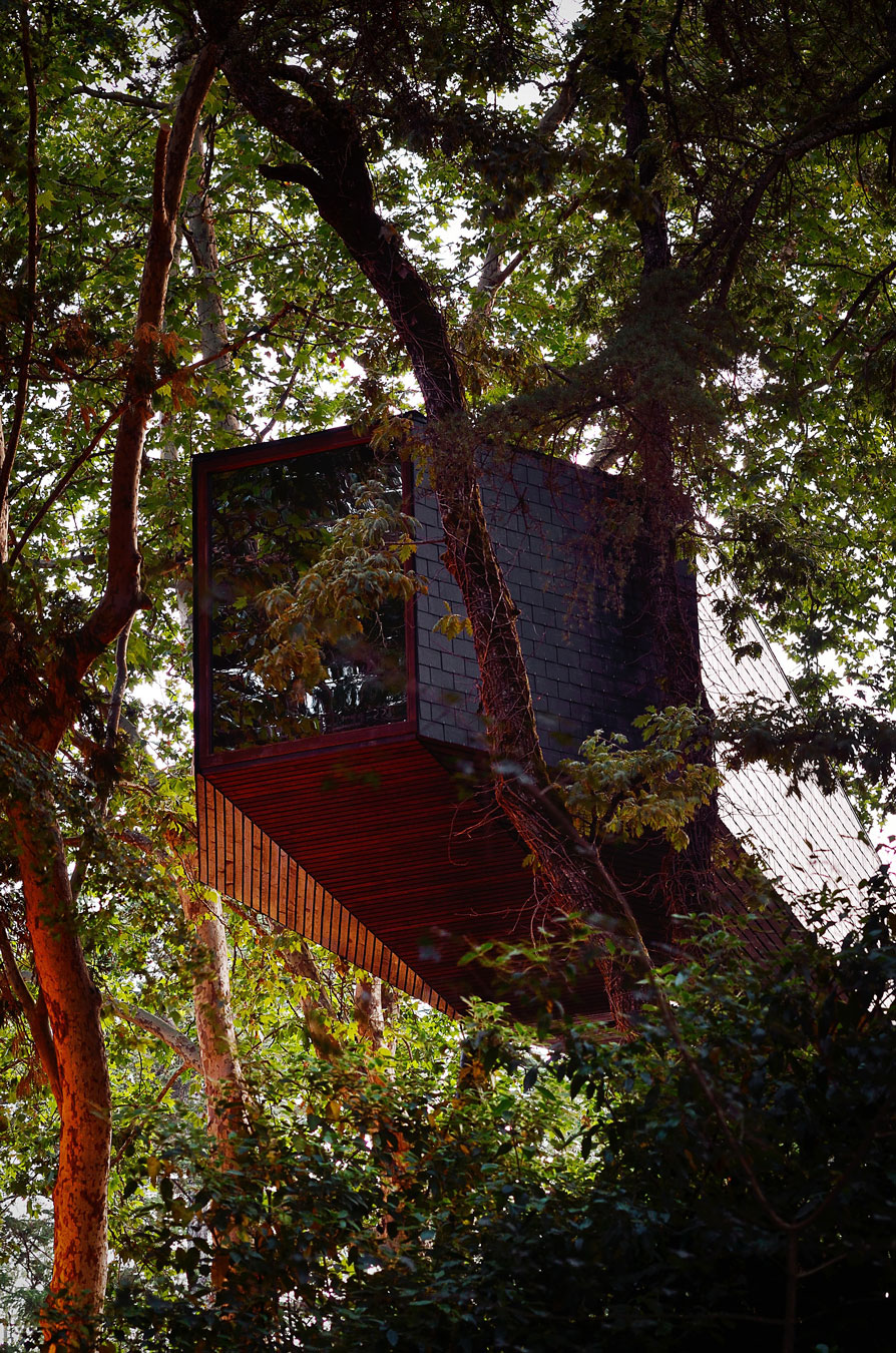 Проект длинного дома на сваях: невероятная конструкция Tree Snake Houses от португальских архитекторов () Проект длинного дома на сваях: невероятная конструкция Tree Snake Houses от португальских архитекторов