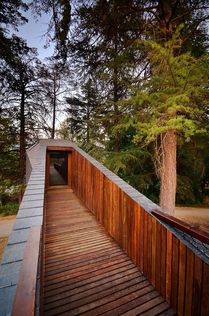 Проект длинного дома на сваях: невероятная конструкция Tree Snake Houses от португальских архитекторов () Проект длинного дома на сваях: невероятная конструкция Tree Snake Houses от португальских архитекторов