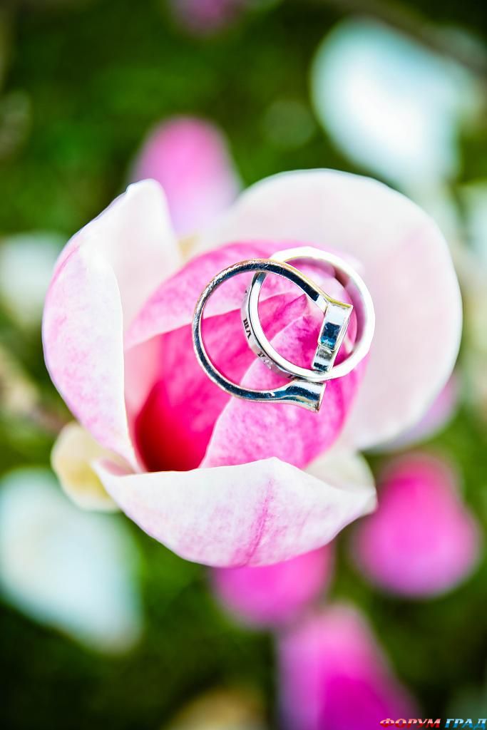 ring-and-flowers-118