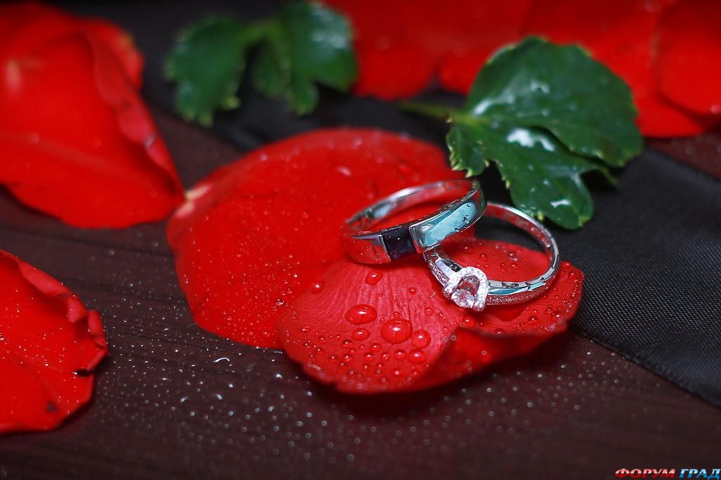 ring-and-flowers-86