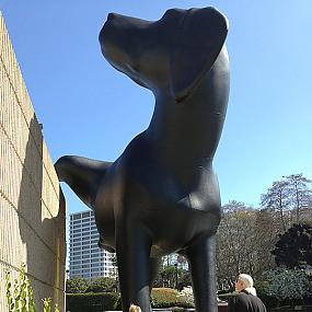 richard-jackson-dog-modern-art-01