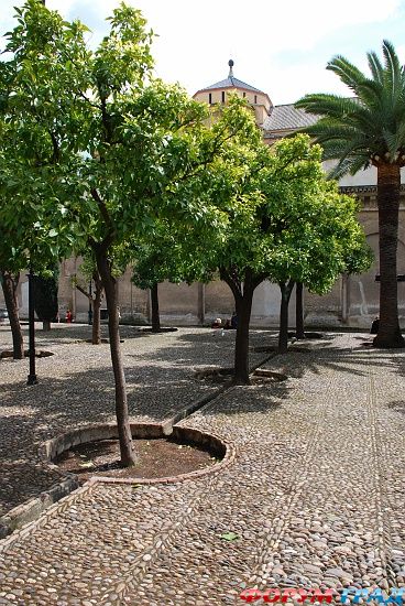 Mezquita de Cordoba/Большая мечеть в Кордове