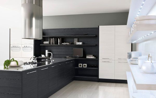 black-white-kitchen-idea-2