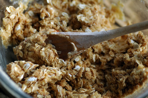 easy-oatmeal-apple-crisp-recipe-1