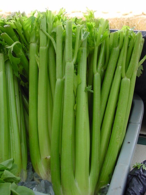 Мифы о еде