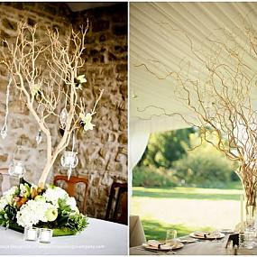 manzanita-branches-for-weddings-5