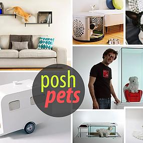 modern-furniture-pets-12