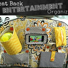 seat-back-entertainment-organizer-1