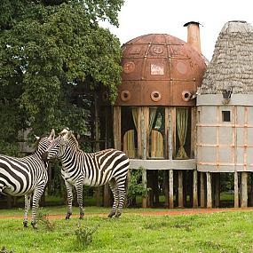 the-ngorongoro-crater-lodge-3