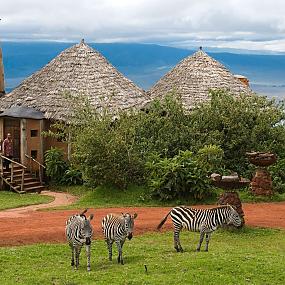 the-ngorongoro-crater-lodge-4