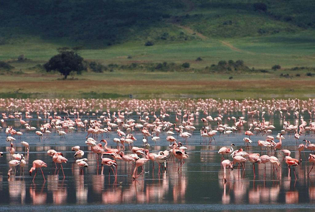 the-ngorongoro-crater-lodge-6