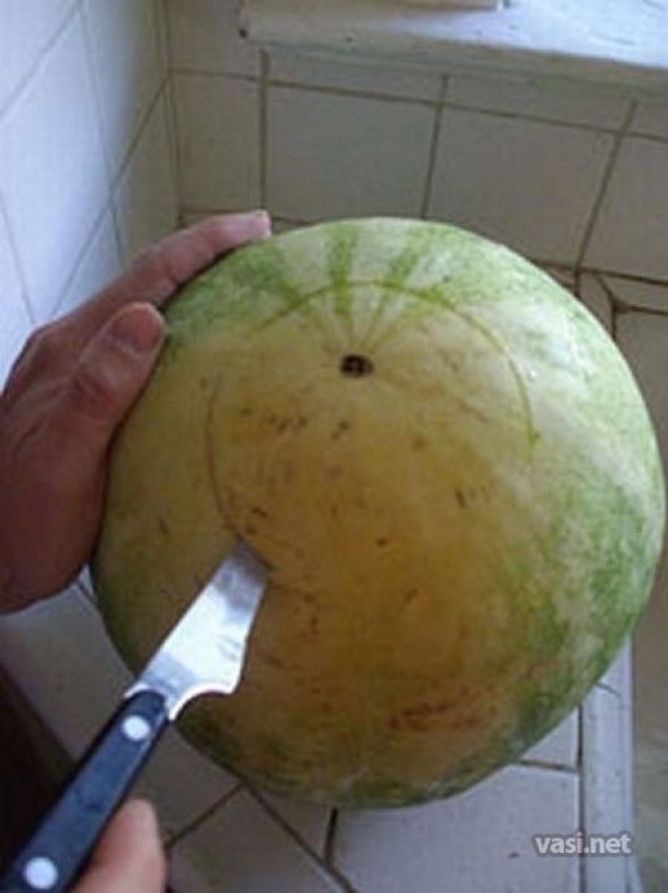 Арбузный бочонок своими руками
