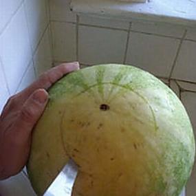 watermelon-keg-7