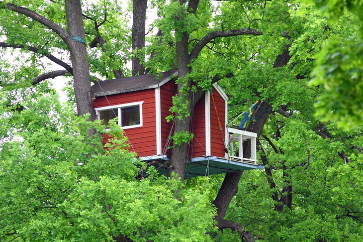 Отель Woodpecker Hotel