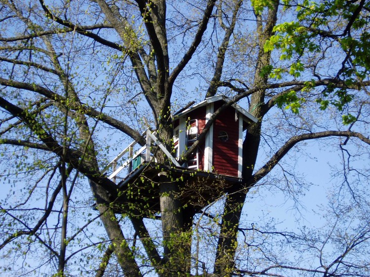 Отель Woodpecker Hotel