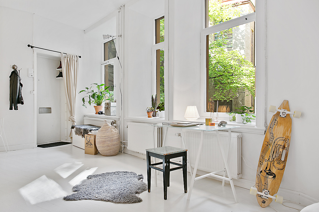 scandinavian-one-room-09