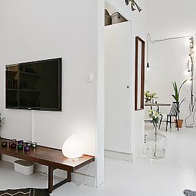 scandinavian-one-room-22