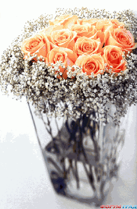 оранжервые розы в вазе